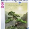 จิ๊กซอว์ 1000 ชิ้น Zen Baum rave 10